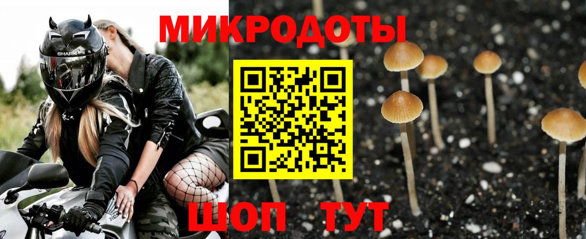 Псилоцибиновые грибы прущие грибы Кудрово